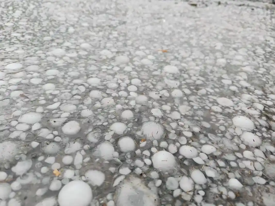 冰雹防护